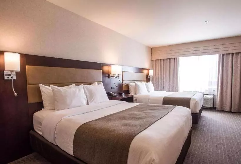スタンダードルーム, Quality Inn & Suites