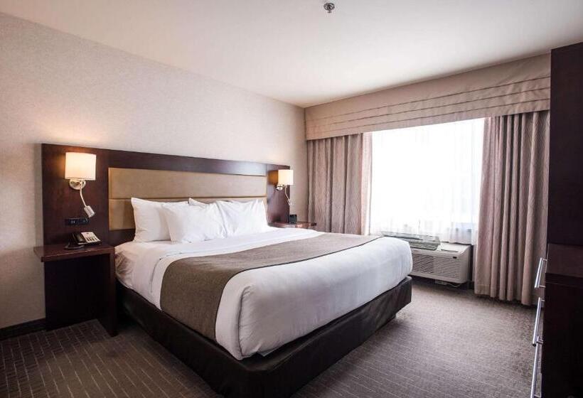 جناح سرير كينج, Quality Inn & Suites