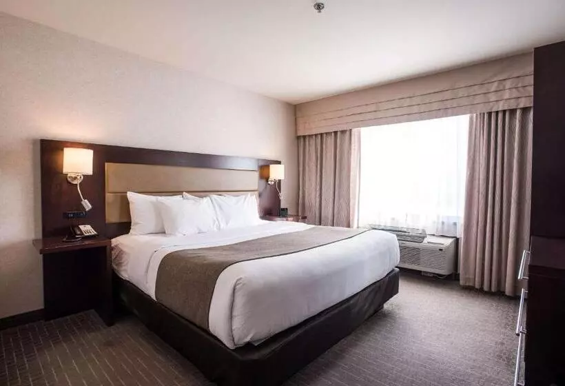 キングサイズベッドのスイートルーム, Quality Inn & Suites