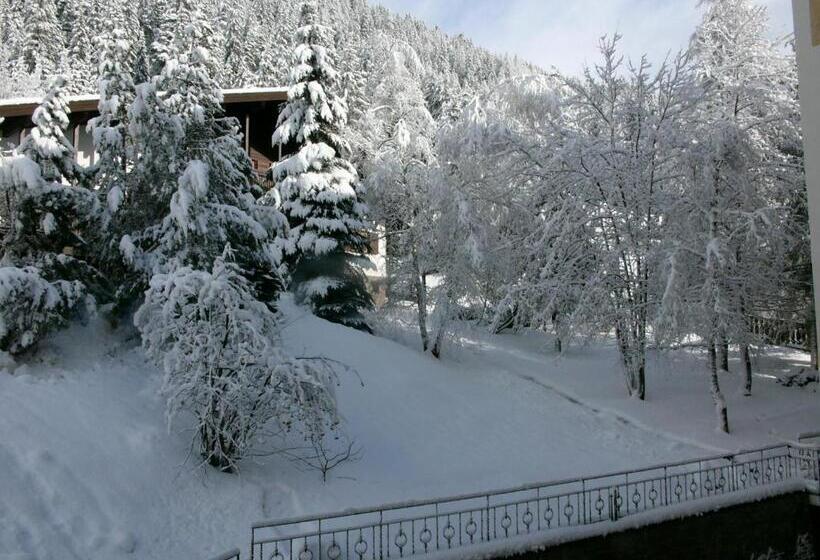 غرفة سوبيريور, Cesa Tyrol