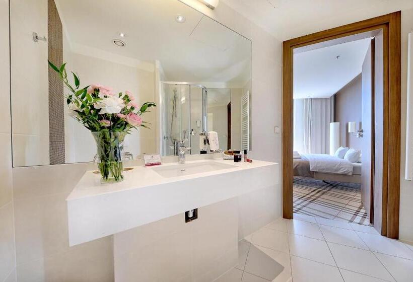 آپارتمان 1 خوابه, Rzeszow