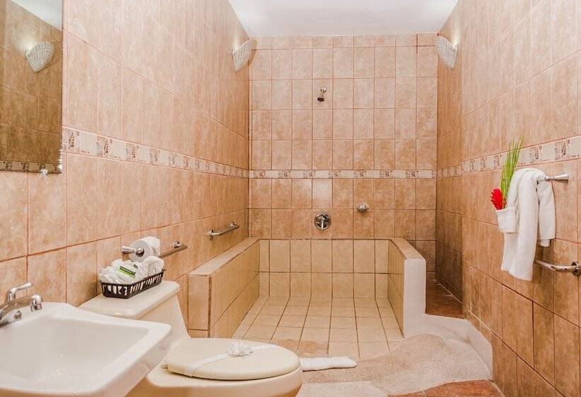 سوییت جونیور, The Palms At Coco Beach