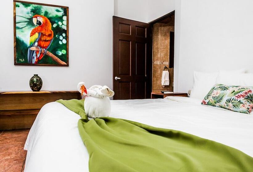 سوییت جونیور, The Palms At Coco Beach