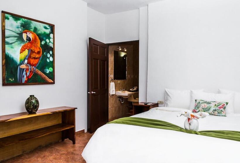 سوییت جونیور, The Palms At Coco Beach