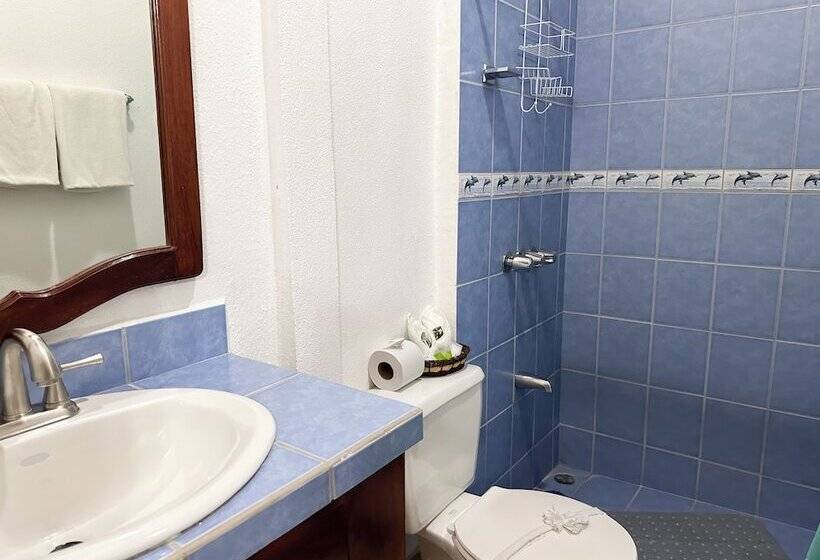 اتاق استاندارد, The Palms At Coco Beach