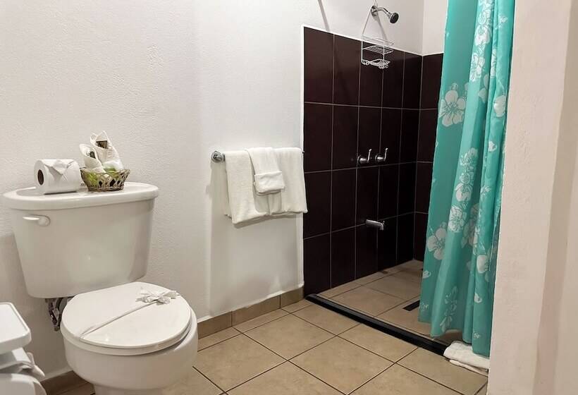 اتاق استاندارد, The Palms At Coco Beach