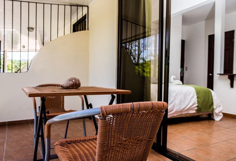 آپارتمان سوپریور 1 خوابه, The Palms At Coco Beach