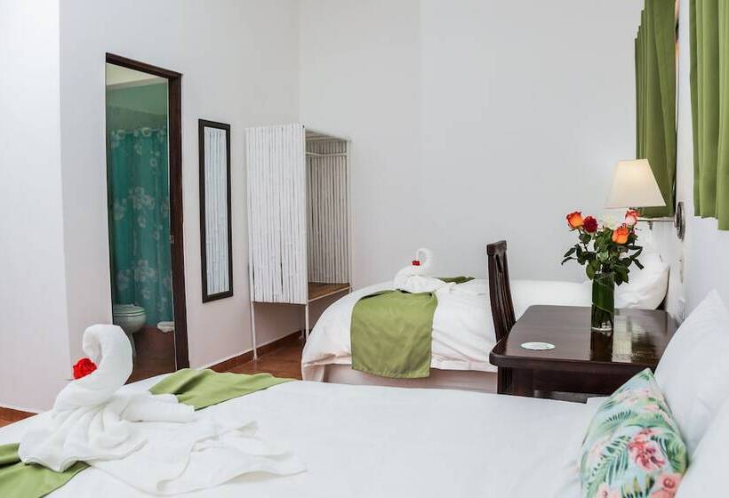 اتاق استاندارد, The Palms At Coco Beach