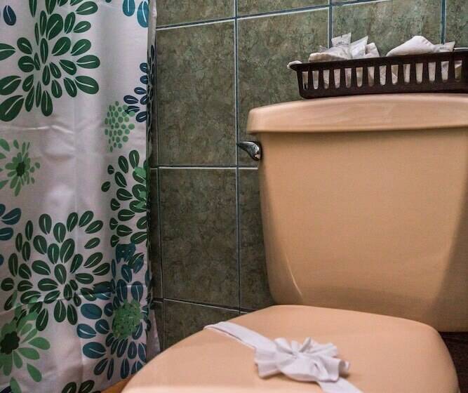 اتاق استاندارد, The Palms At Coco Beach