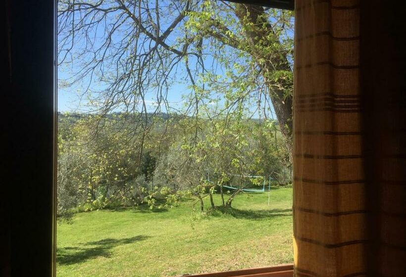 스탠다드 룸, Torraccia Di Chiusi Agriturismo Relais