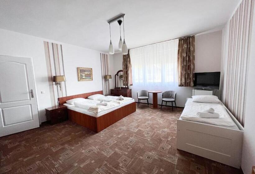 اتاق استاندارد, Wolf Panzió