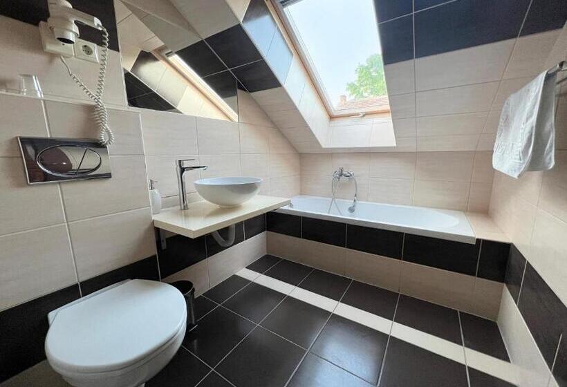 اتاق استاندارد, Wolf Panzió