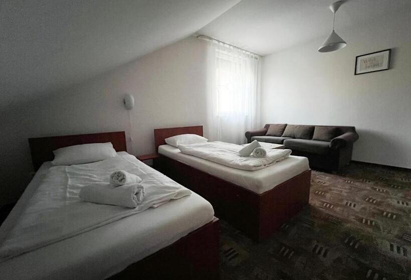 اتاق استاندارد, Wolf Panzió