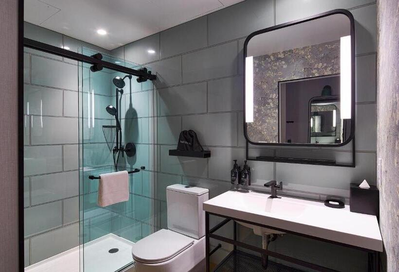 اتاق استاندارد برای معلولان, Indigo Nyc Financial District, An Ihg