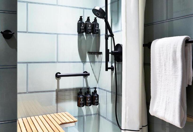 اتاق استاندارد با تخت دو نفره بزرگ برای معلولان, Indigo Nyc Financial District, An Ihg
