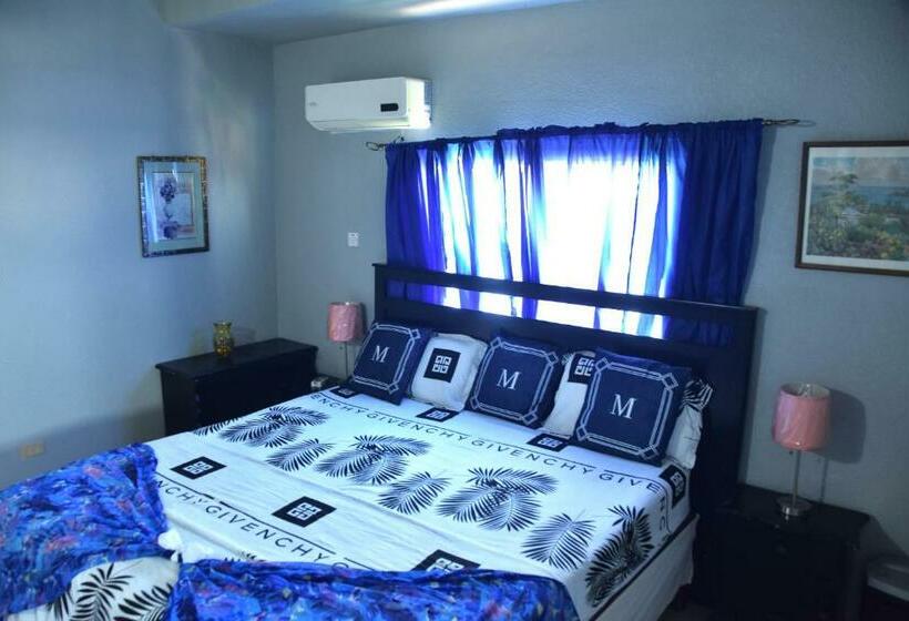 اتاق خانوادگی, The President Room 5 Minutes To Devon House 6 Strathairn Avenue Kingston