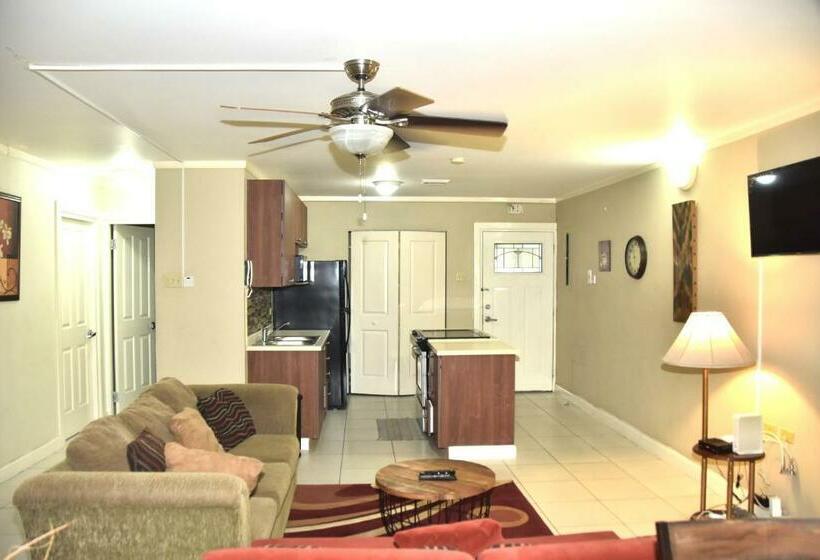 اتاق خانوادگی, The President Room 5 Minutes To Devon House 6 Strathairn Avenue Kingston