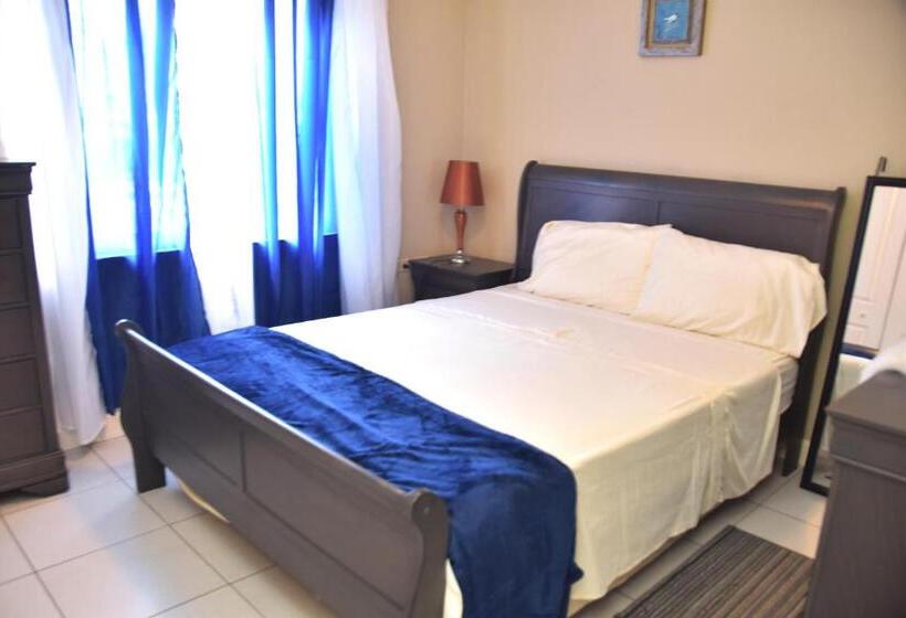 آپارتمان 2 خوابه, The President Room 5 Minutes To Devon House 6 Strathairn Avenue Kingston