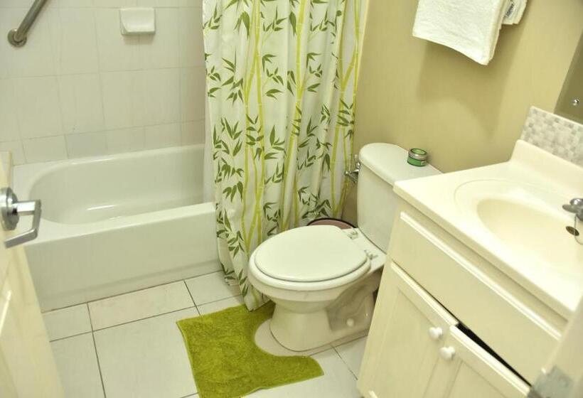 آپارتمان 2 خوابه, The President Room 5 Minutes To Devon House 6 Strathairn Avenue Kingston