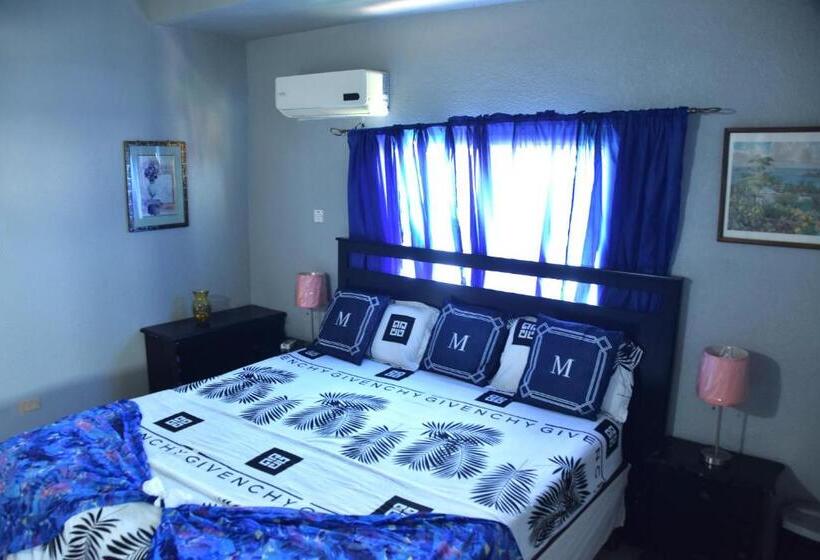 آپارتمان 2 خوابه, The President Room 5 Minutes To Devon House 6 Strathairn Avenue Kingston