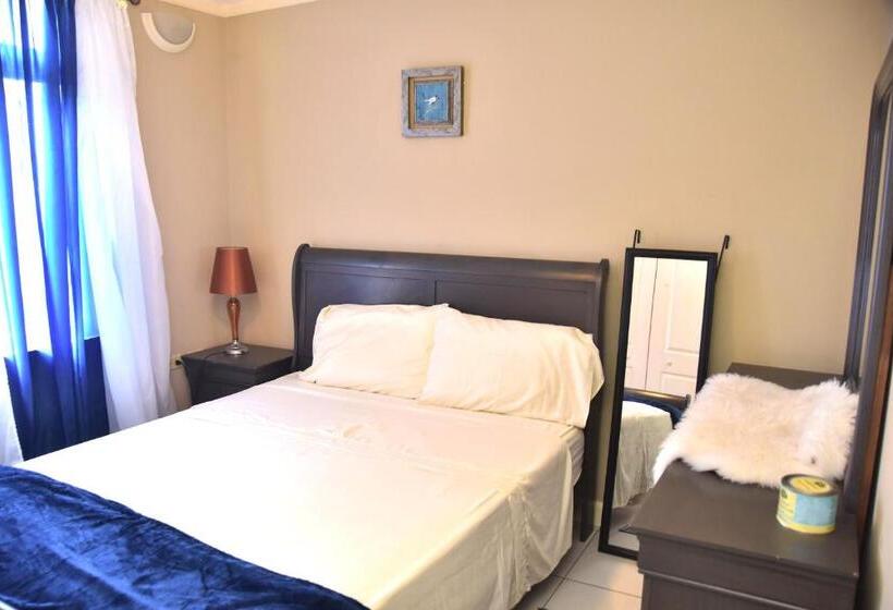 آپارتمان 2 خوابه, The President Room 5 Minutes To Devon House 6 Strathairn Avenue Kingston