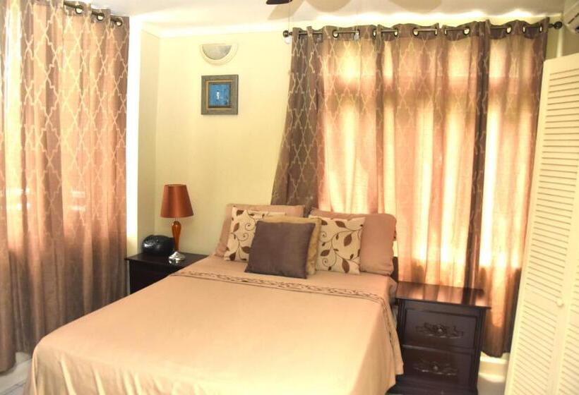 آپارتمان 2 خوابه, The President Room 5 Minutes To Devon House 6 Strathairn Avenue Kingston