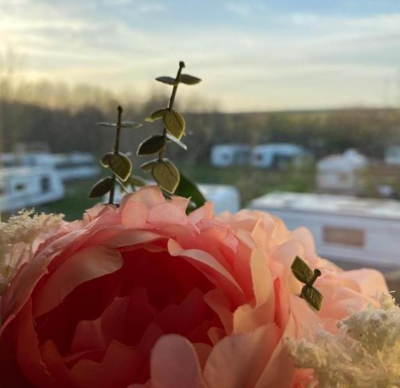 スタンダードルーム, Nm Residence