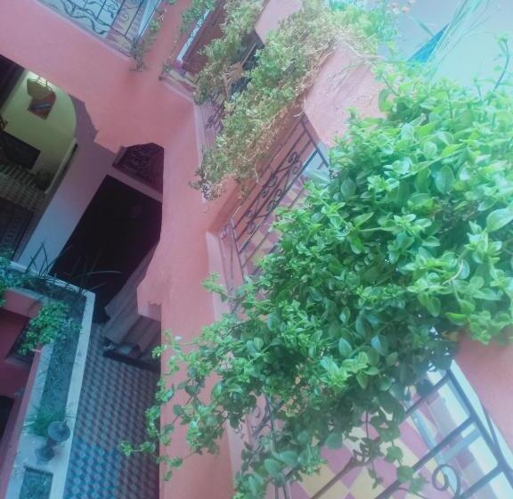 标准三人间, Riad Dar Ahlam