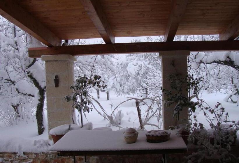 استودیوی استاندارد, Fontana Vecchia B&b