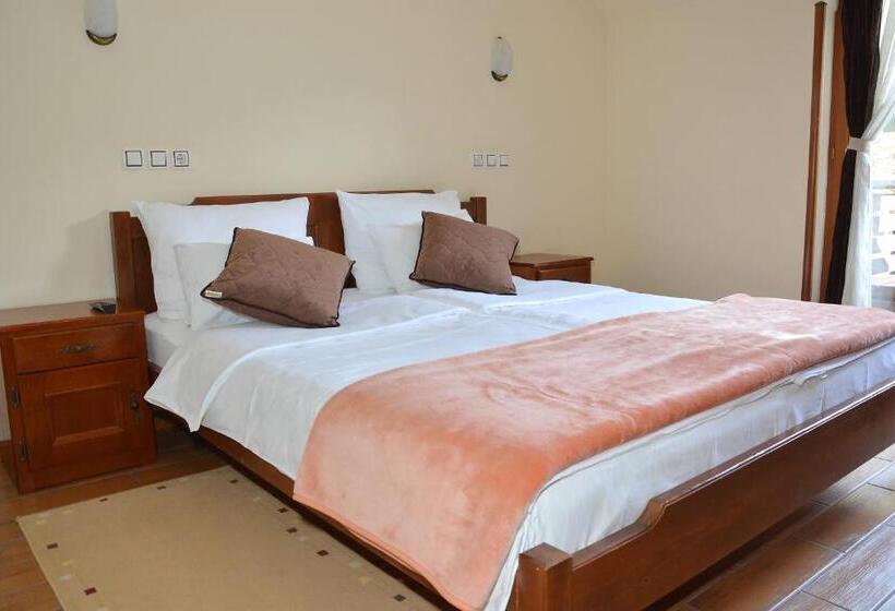 آپارتمان 1 خوابه با بالکن, Zlatiborska Noc