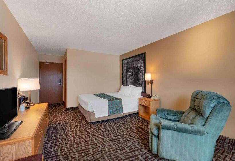 חדר סטנדרט מותאם לאדם עם מוגבלויות, Super 8 By Wyndham Hill City/mt Rushmore/ Area