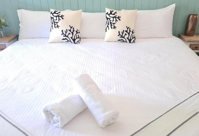 חדר סופריור, The Carmel Yamba