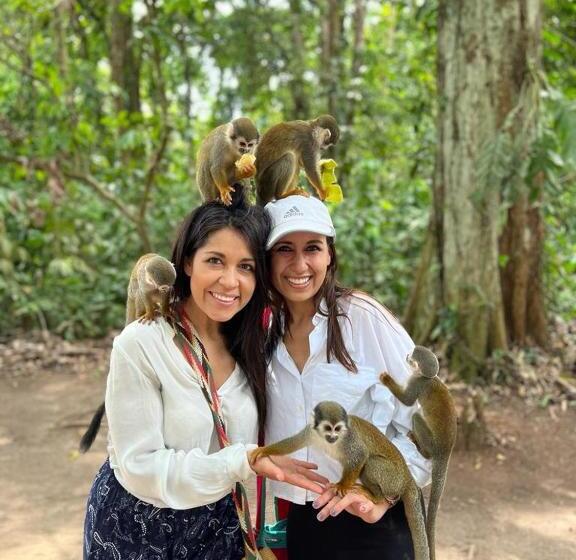 חדר דלוקס, Karupa Amazonas