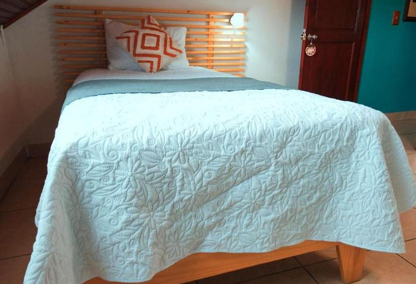 스탠다드 싱글 룸, Trebol Amarillo Bed & Breakfast