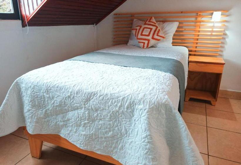 스탠다드 싱글 룸, Trebol Amarillo Bed & Breakfast