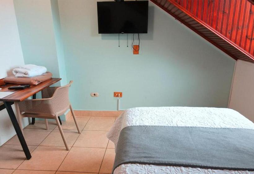 스탠다드 싱글 룸, Trebol Amarillo Bed & Breakfast