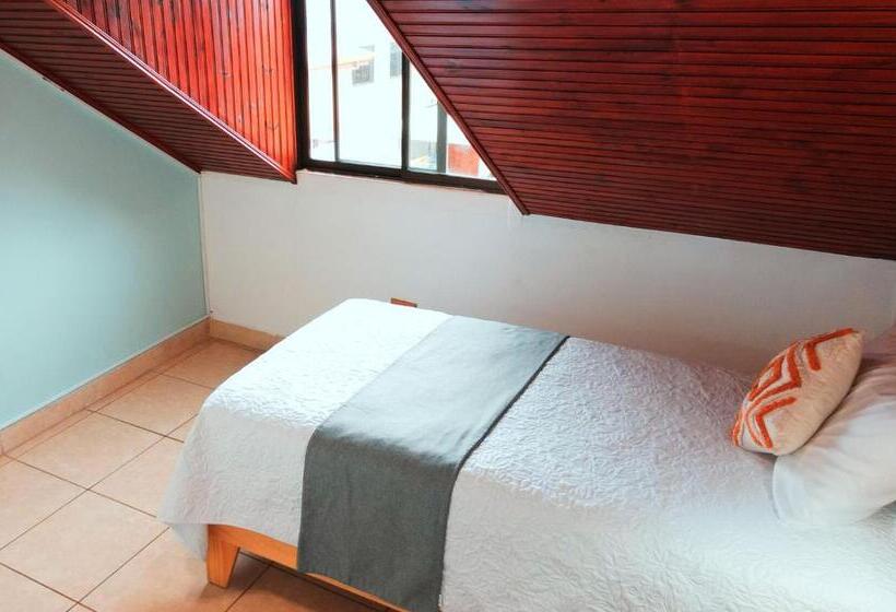 스탠다드 싱글 룸, Trebol Amarillo Bed & Breakfast