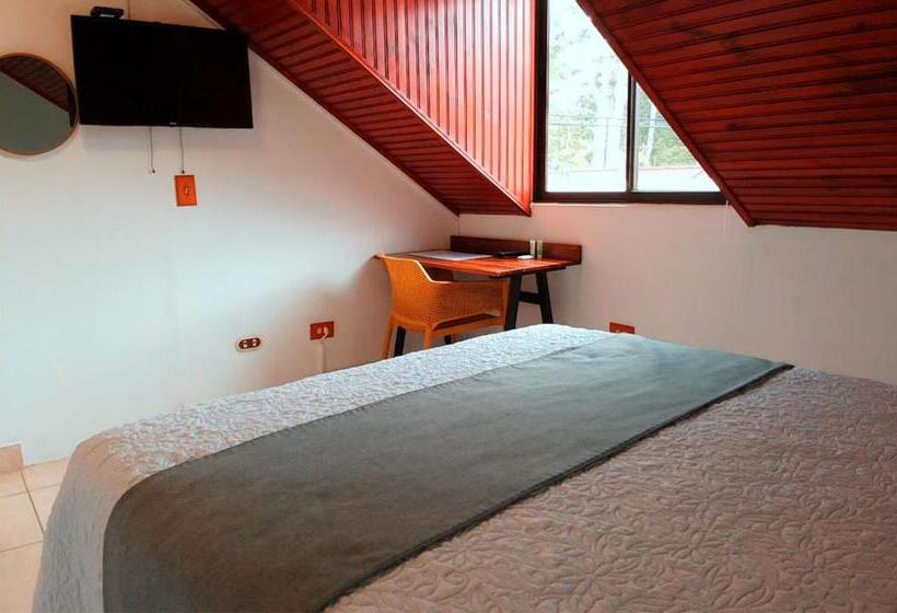 스탠다드 룸 공동 욕실, Trebol Amarillo Bed & Breakfast