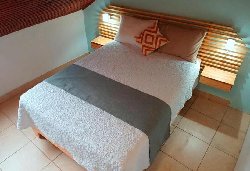 스탠다드 룸 공동 욕실, Trebol Amarillo Bed & Breakfast