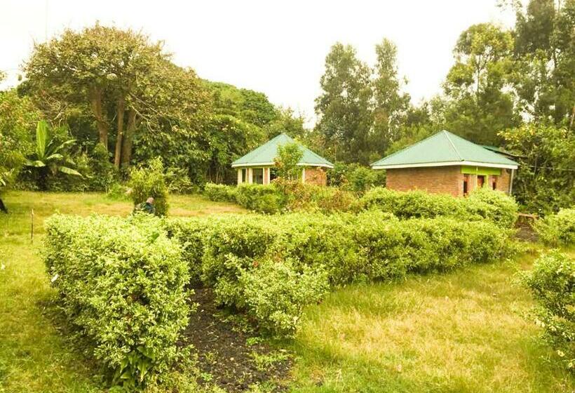 اتاق استاندارد, Amajambere Iwacu Community Camp