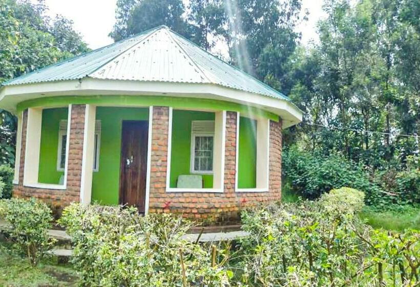 اتاق استاندارد, Amajambere Iwacu Community Camp