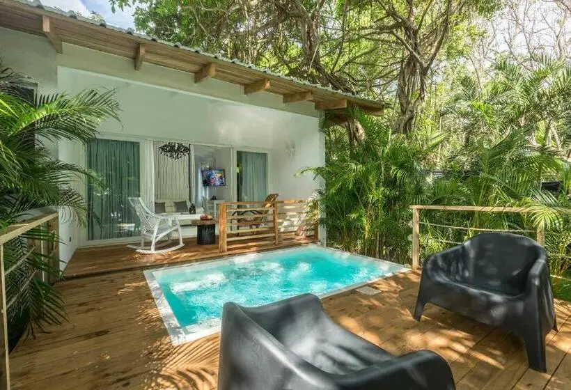 سوییت با چشم‌انداز دریا, Gigi Brown Beachfront Santa Teresa