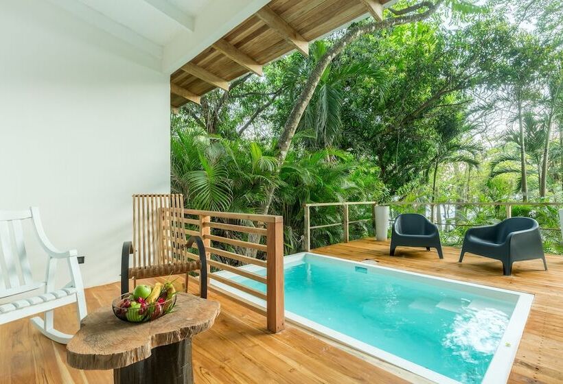 سوییت با چشمانداز دریا, Gigi Brown Beachfront Santa Teresa