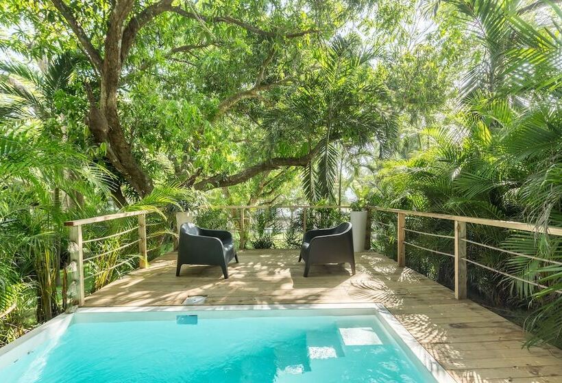 سوییت با چشمانداز دریا, Gigi Brown Beachfront Santa Teresa