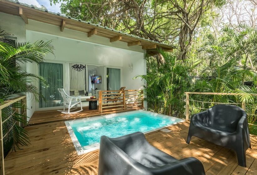 سوییت با چشمانداز دریا, Gigi Brown Beachfront Santa Teresa