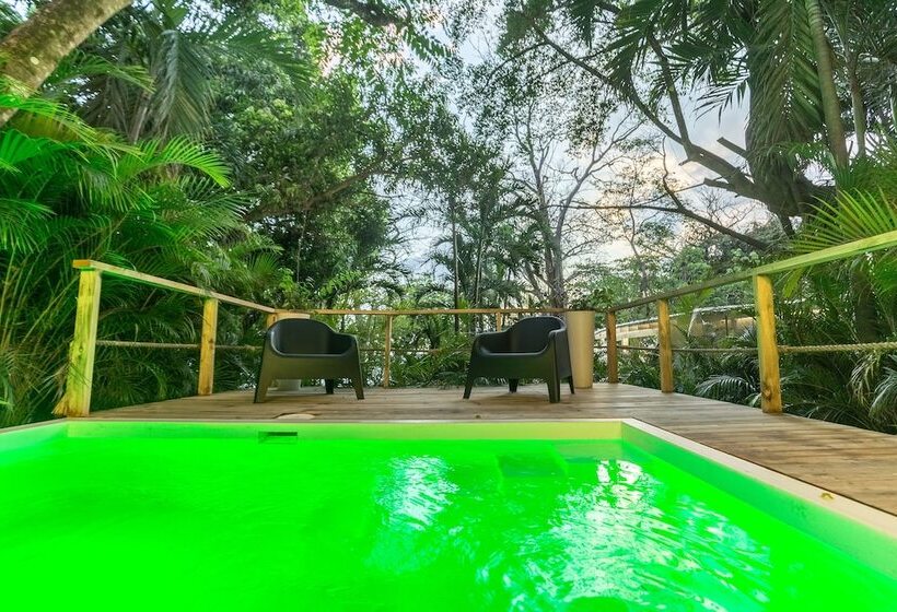 سوییت با چشمانداز دریا, Gigi Brown Beachfront Santa Teresa