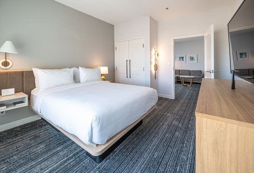 سوییت, Towneplace Suites By Marriott Las Vegas North I15