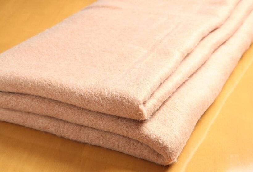 غرفة قياسية, Frame Hotel Sapporo