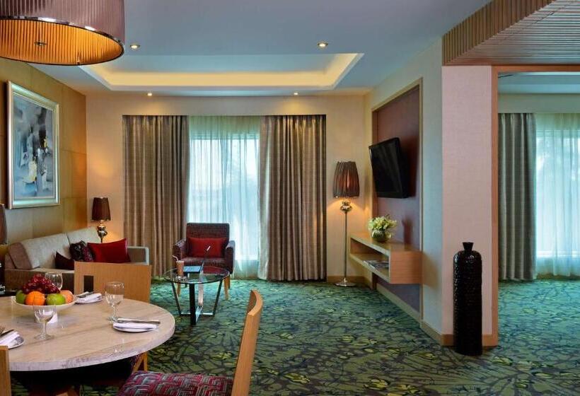 סוויטה, Radisson Hotel Kandla