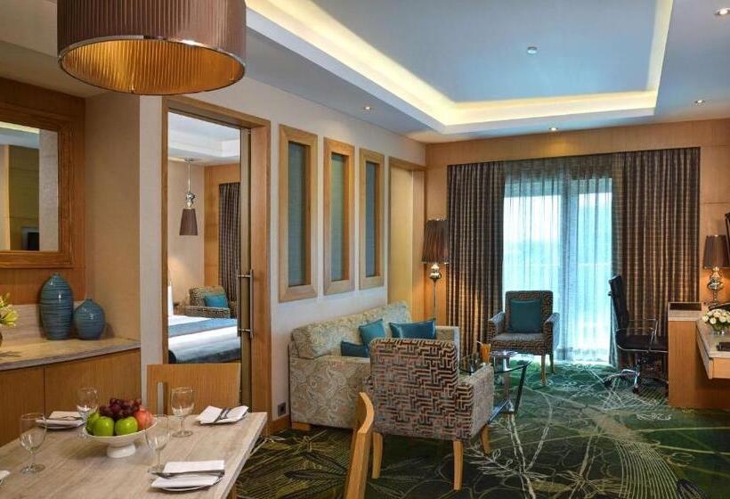 סוויטה, Radisson Hotel Kandla